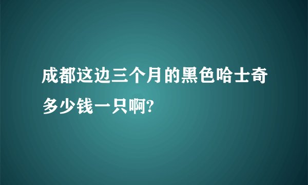 成都这边三个月的黑色哈士奇多少钱一只啊?