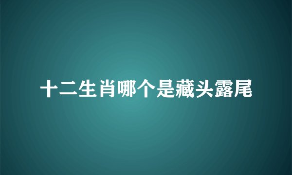 十二生肖哪个是藏头露尾