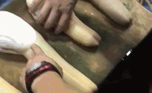 象拔蚌是什么梗什么意思 象拔蚌的出处在哪
