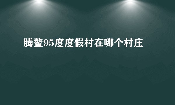 腾鳌95度度假村在哪个村庄