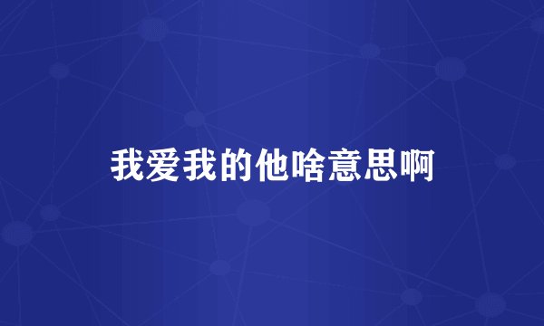 我爱我的他啥意思啊