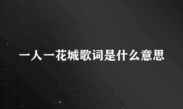 一人一花城歌词是什么意思