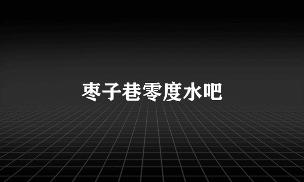 枣子巷零度水吧