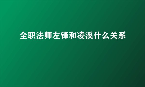 全职法师左锋和凌溪什么关系