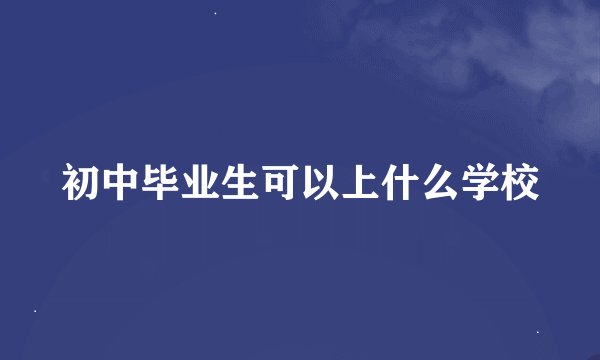 初中毕业生可以上什么学校
