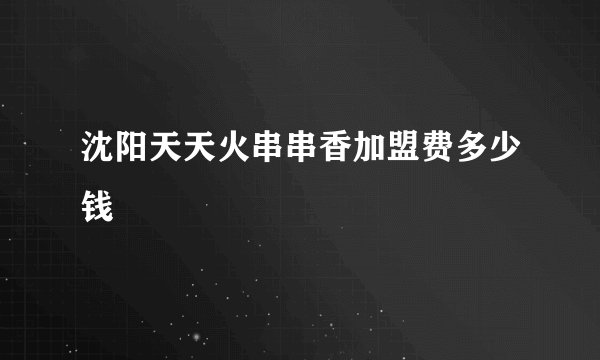 沈阳天天火串串香加盟费多少钱