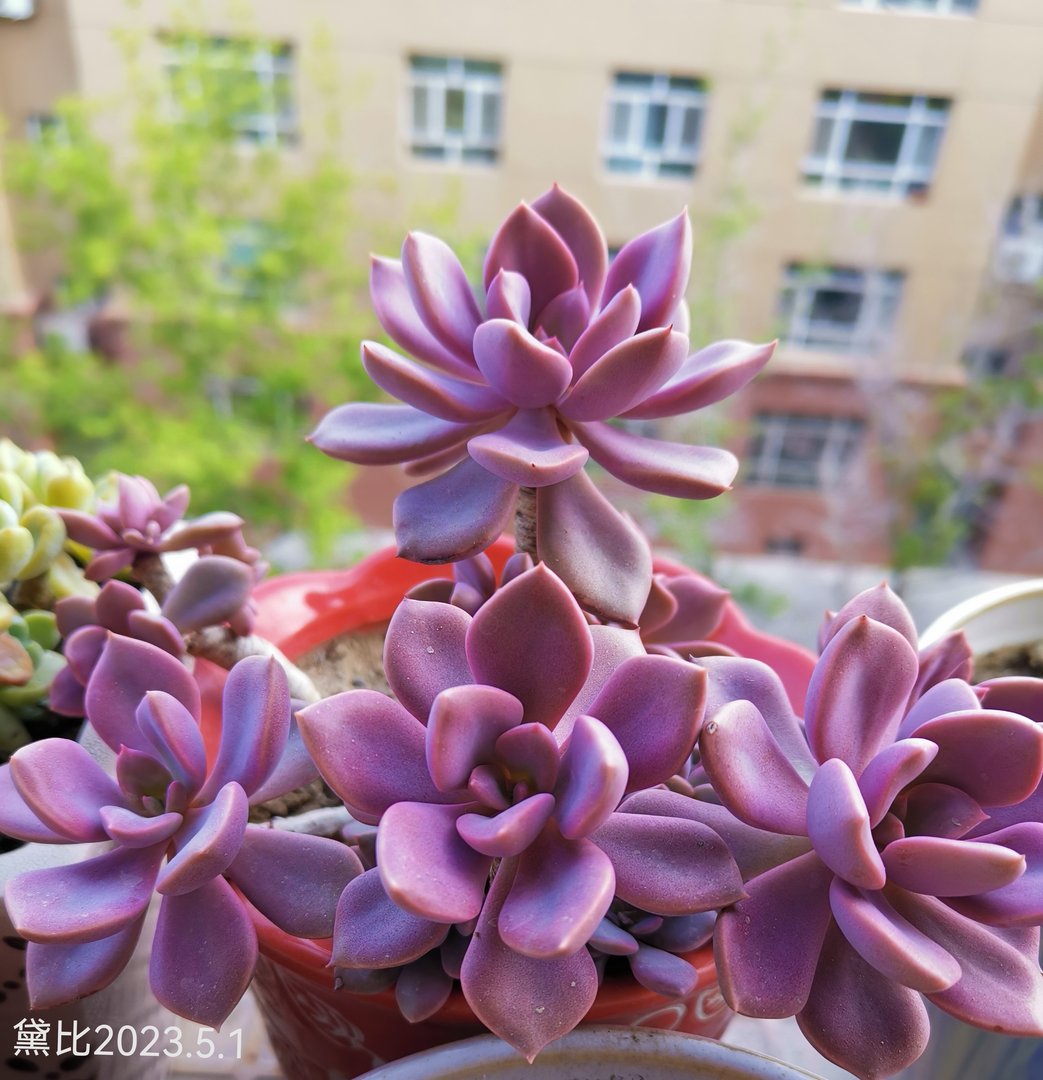 学生收外卖被退学，学校有权利吗