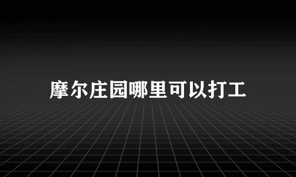 摩尔庄园哪里可以打工