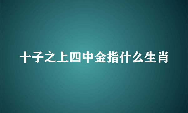 十子之上四中金指什么生肖