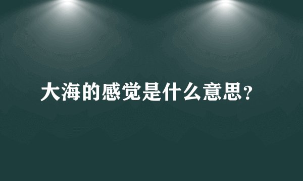 大海的感觉是什么意思？