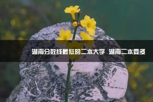 湖南二本分数线