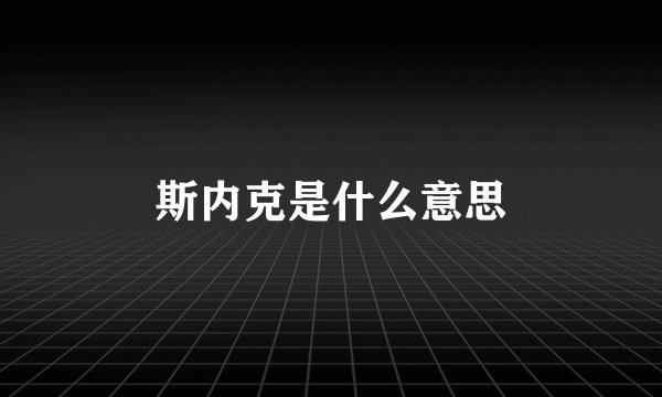 斯内克是什么意思