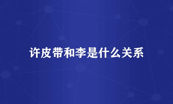 许皮带和李是什么关系