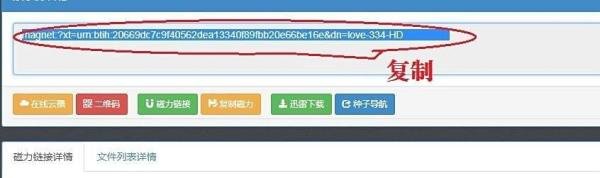 如何将磁力链接转换为BT种子？