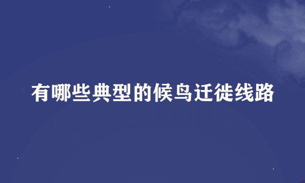 有哪些典型的候鸟迁徙线路