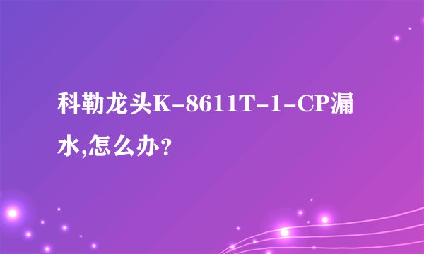 科勒龙头K-8611T-1-CP漏水,怎么办？
