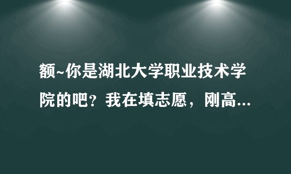 额~你是湖北大学职业技术学院的吧？我在填志愿，刚高考完，文科分数线多少会录取啊？专科一吧?期待回复