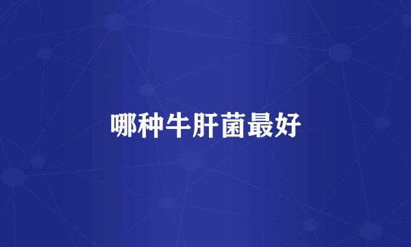 哪种牛肝菌最好