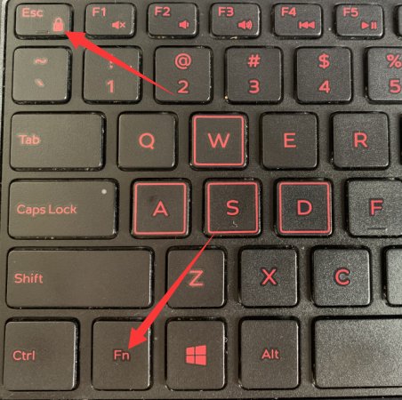 dell笔记本f1- f12功能键在哪儿？