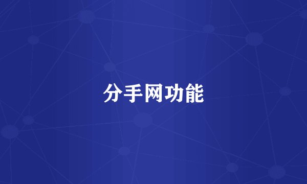 分手网功能