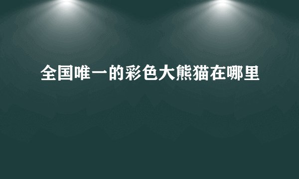 全国唯一的彩色大熊猫在哪里