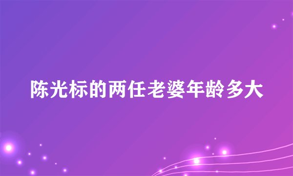 陈光标的两任老婆年龄多大