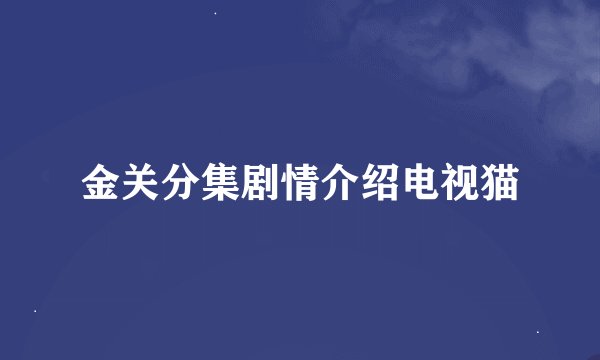 金关分集剧情介绍电视猫