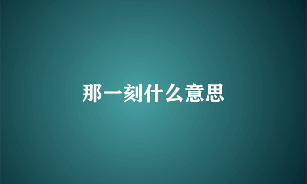 那一刻什么意思