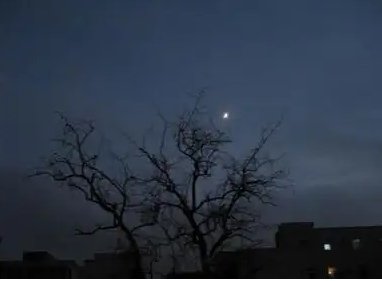 月明星稀造句