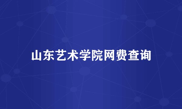 山东艺术学院网费查询