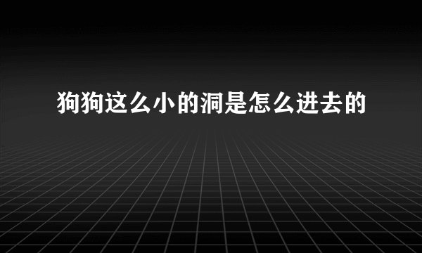 狗狗这么小的洞是怎么进去的