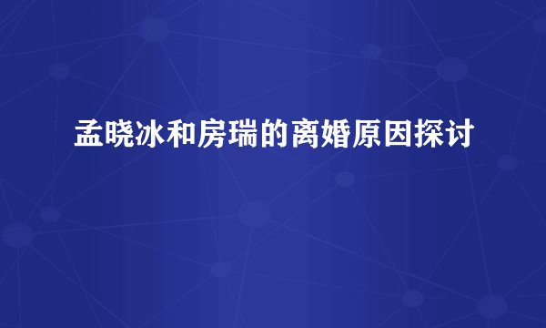 孟晓冰和房瑞的离婚原因探讨