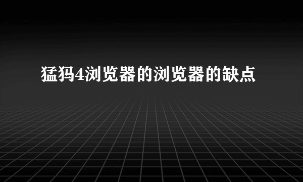 猛犸4浏览器的浏览器的缺点