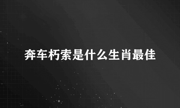 奔车朽索是什么生肖最佳