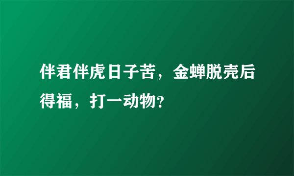 伴君伴虎日子苦，金蝉脱壳后得福，打一动物？