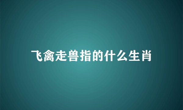 飞禽走兽指的什么生肖