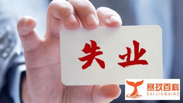 “滞胀”的出现-《经济学讲义》