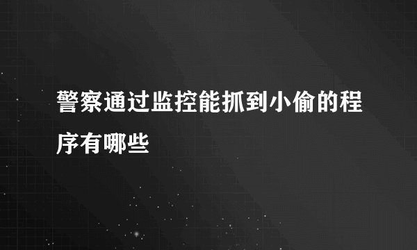 警察通过监控能抓到小偷的程序有哪些