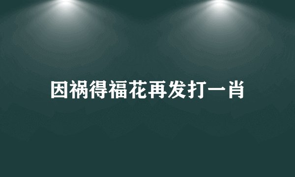 因祸得福花再发打一肖