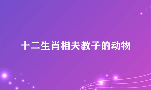十二生肖相夫教子的动物