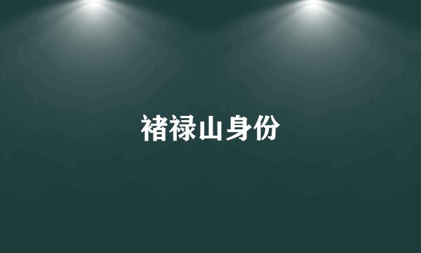 褚禄山身份