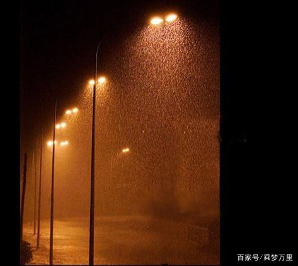 2011年汕尾“雨夜色魔案”凶犯蒋红彬落网,结果怎样?