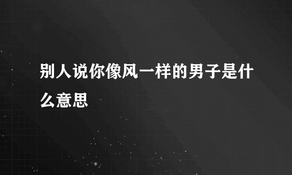 别人说你像风一样的男子是什么意思