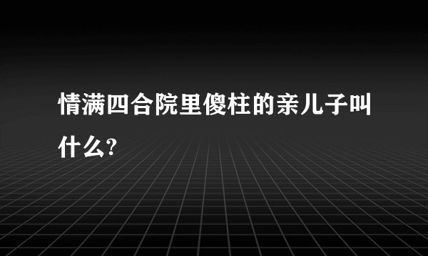 情满四合院里傻柱的亲儿子叫什么?