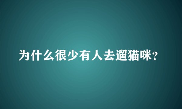 为什么很少有人去遛猫咪?