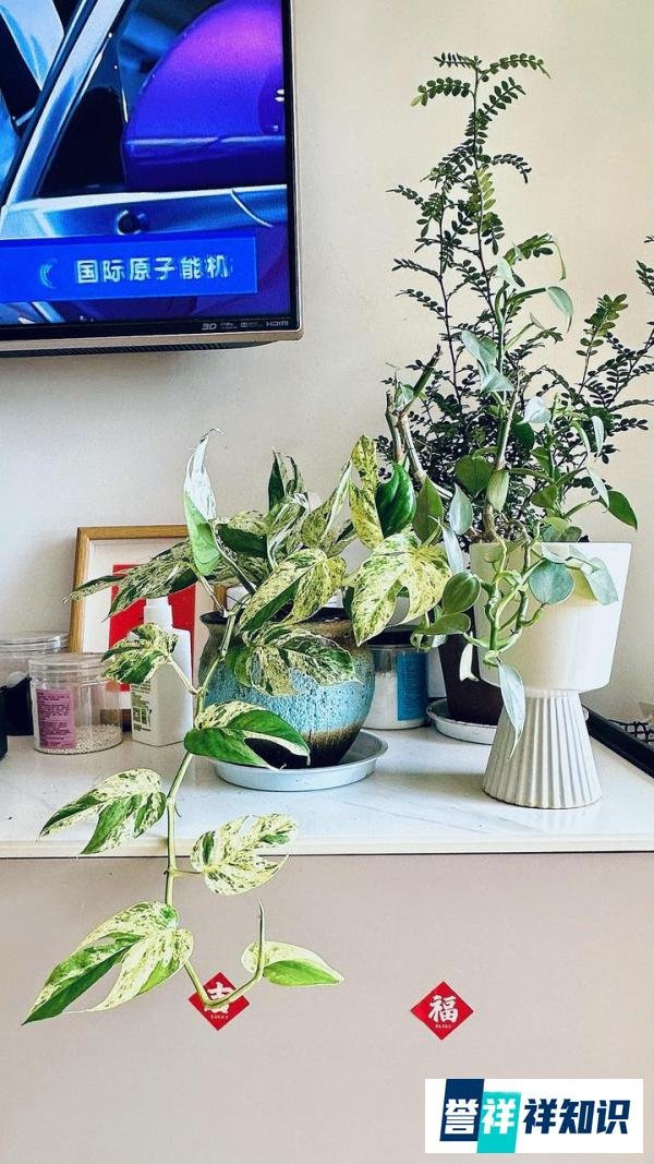 和男生谈恋爱，是什么感觉？