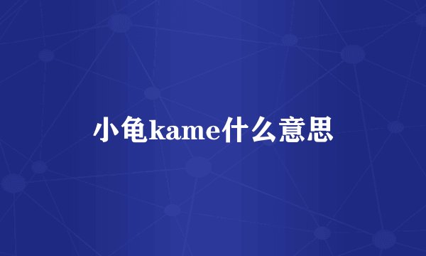 小龟kame什么意思