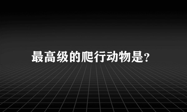 最高级的爬行动物是?