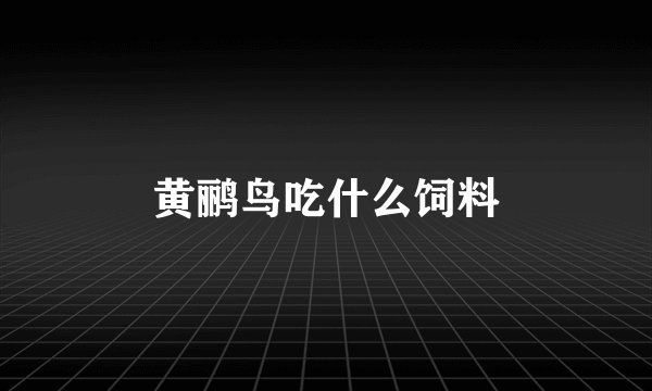 黄鹂鸟吃什么饲料