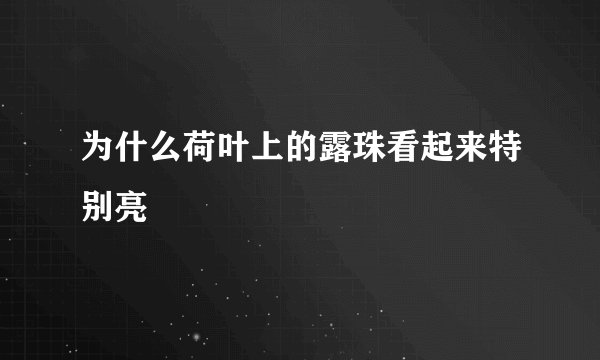为什么荷叶上的露珠看起来特别亮